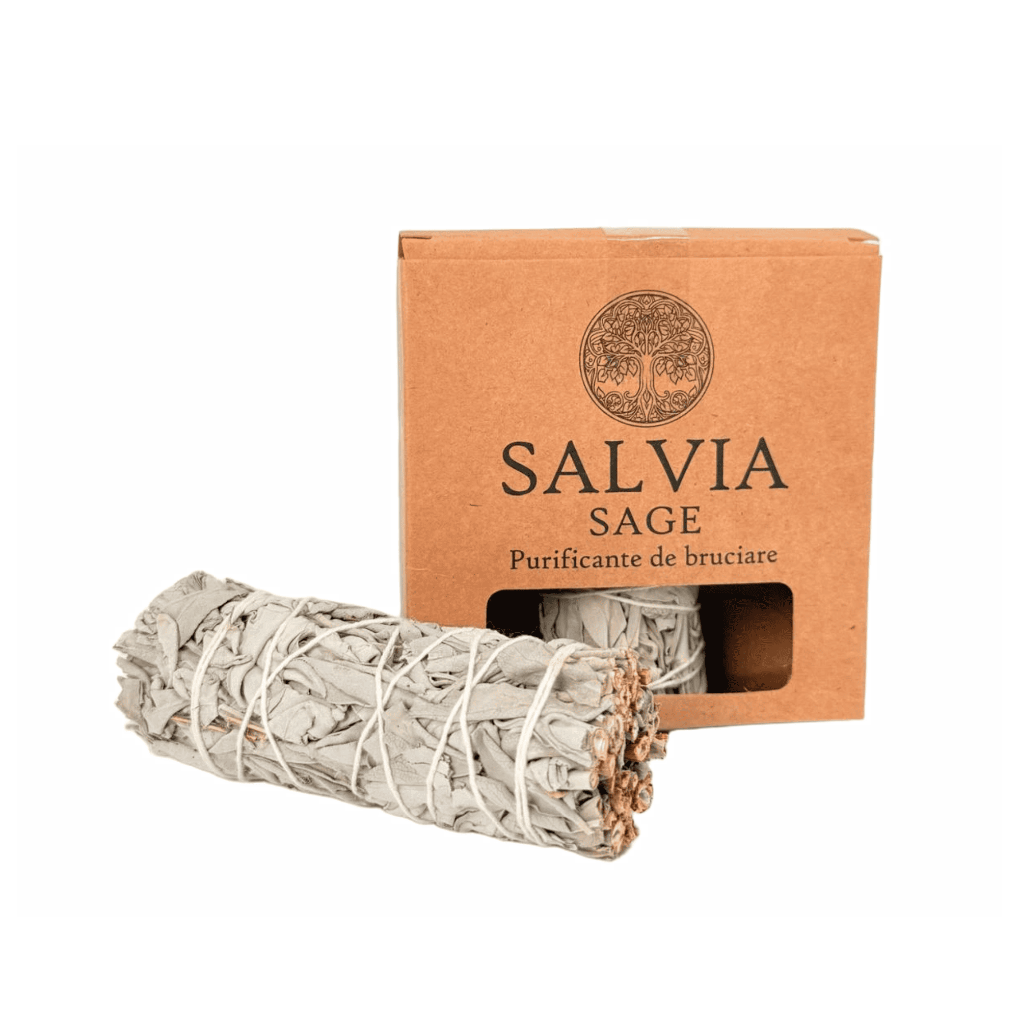 Salvia Salvia